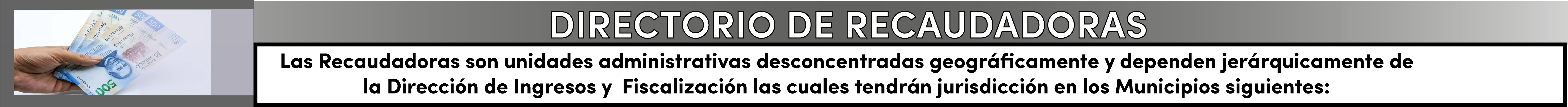 Directorio de recaudadoras